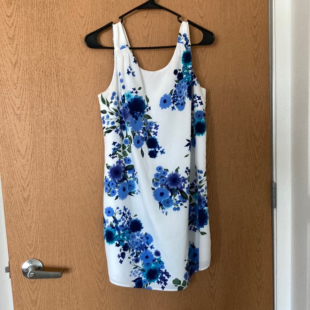 Eliane Rose Sleeveless Blue & White Floral Shift Dress